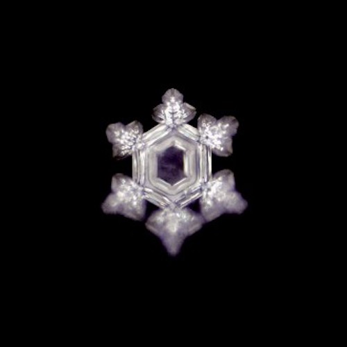 wasserkristall_energyplate