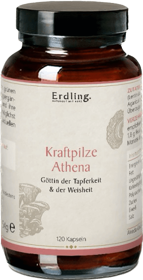 Kraftpilz-Regeneration-120Kapseln