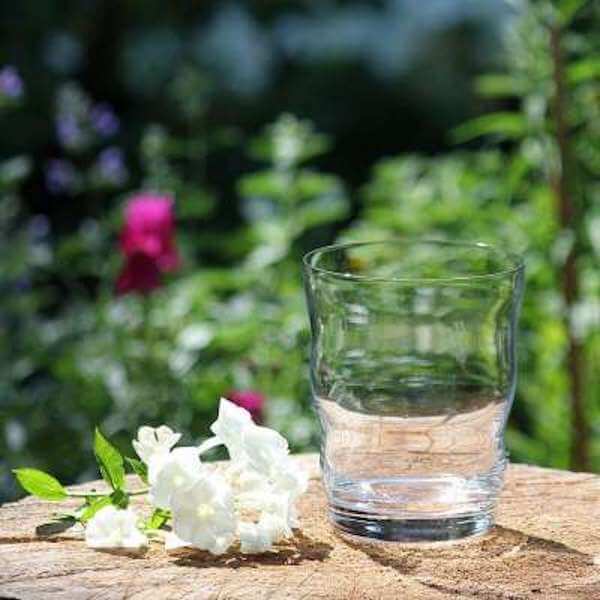 Trinkglas_Jasmina