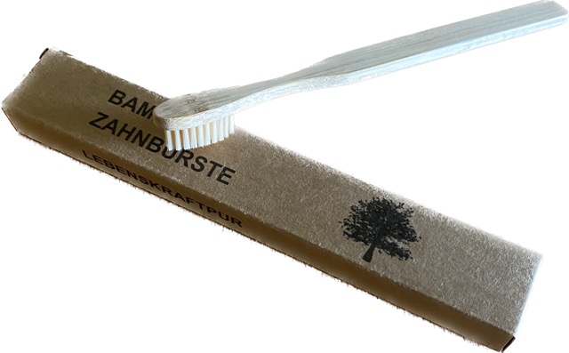 Bambus_Zahnbuerste1
