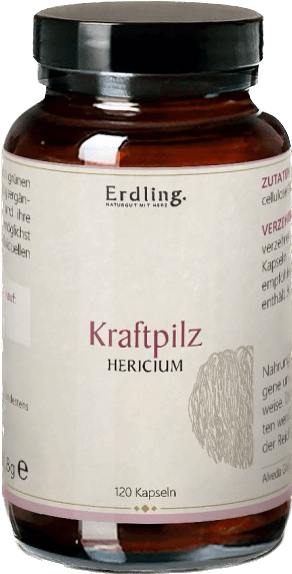 Kraftpilz-Hericium-120Kapseln