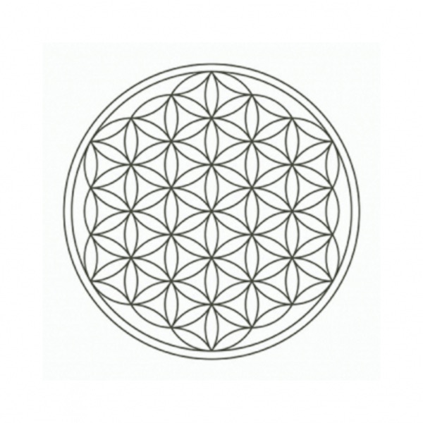 flower-of-life-platin