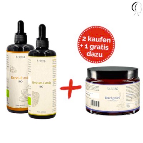 Waldkraft_Pack_Darm_Mensch