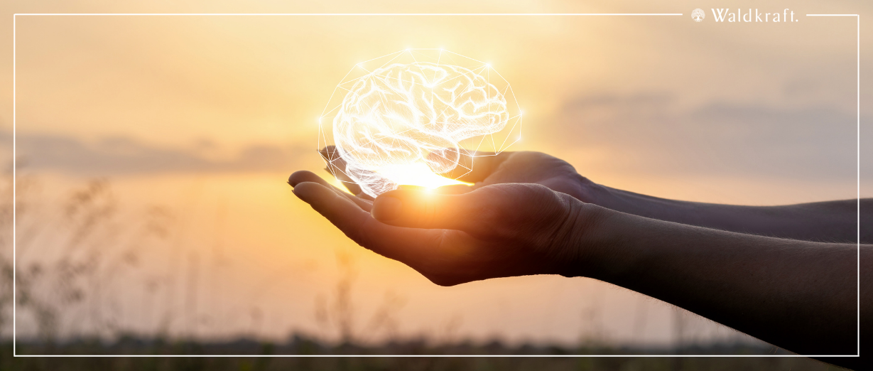 369_Category_Gehirn-Nerven